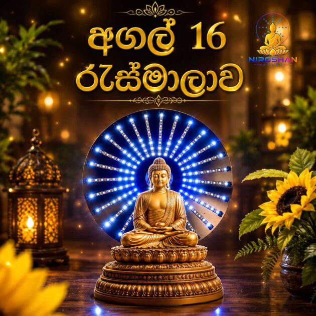 Budurasmala PIXEL LED (බුදු රැස් මාලා ) අගල්  16" බල්බ් 184